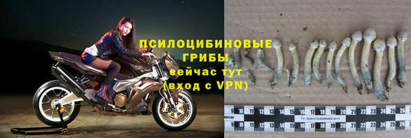 не бодяженный Алексин