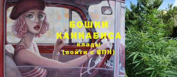 соль ск Алексеевка