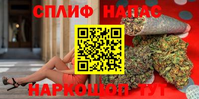 молекула духа Партизанск