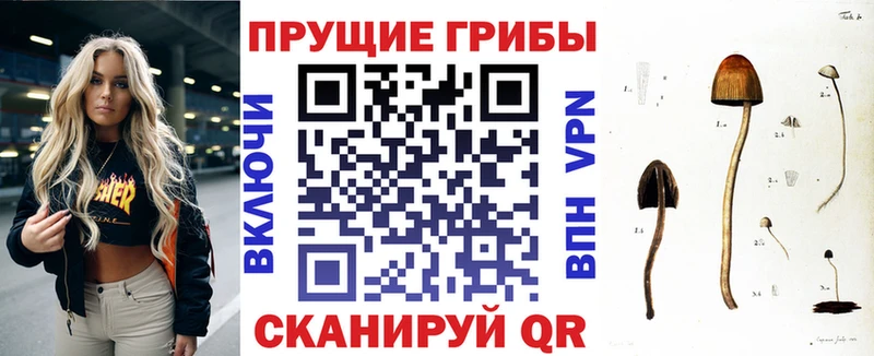 Псилоцибиновые грибы прущие грибы  купить   Уссурийск 