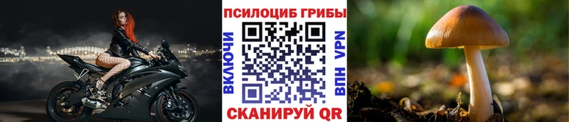 Псилоцибиновые грибы GOLDEN TEACHER Уссурийск
